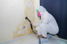 Best Mold Remediation for Healthcare Facilities  in Clinton, WA